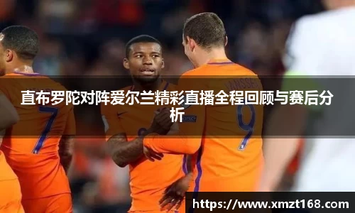 三亿体育有限公司