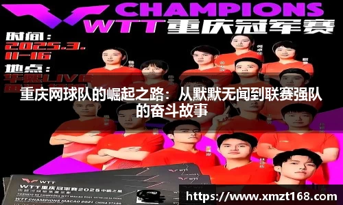 三亿体育有限公司